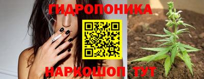 а пвп мука Ачхой-Мартан