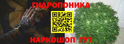 а пвп мука Ачхой-Мартан
