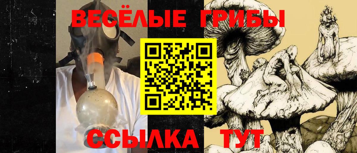 Галлюциногенные грибы MAGIC MUSHROOMS  Богородск  Галлюциногенные грибы мицелий 