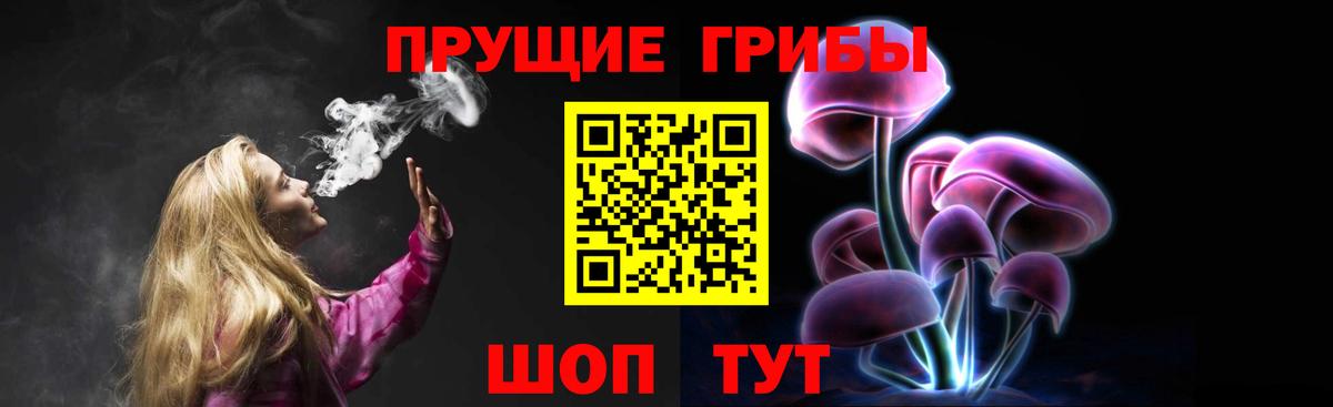 Псилоцибиновые грибы Psilocybe Богородск